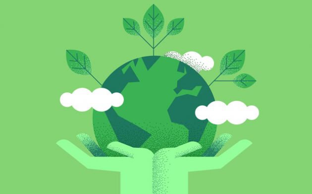 O que é compensação ecológica?