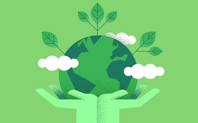 O que é compensação ecológica?
