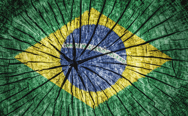 Federalismo (des)cooperativo e maturidade social
