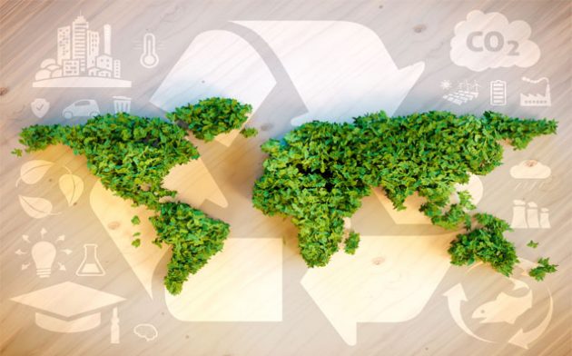 Instrumentos de Proteção Ambiental: quais são eles?
