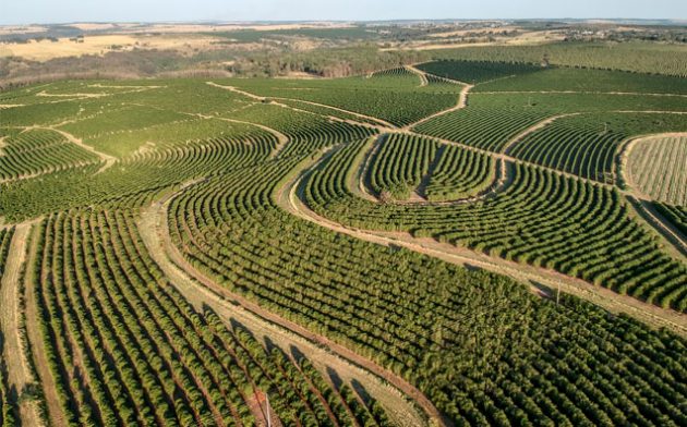 Juros, multa, correção monetária e variação cambial na CPR após a Nova Lei do Agro