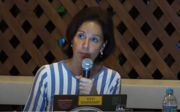 Seminário da Feiticeira 2019 #13 – Liberdade de imprensa: o livre publicar e o negócio empresarial, Taís Gasparian