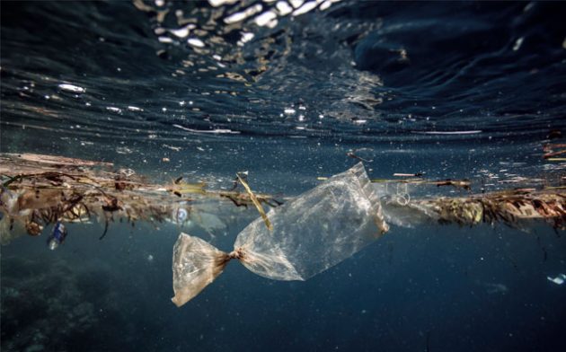 A poluição do ambiente marinho por plásticos e micro plásticos