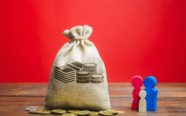 Prestação de contas em obrigação alimentar: breves notas sobre o REsp 1.814.639/RS
