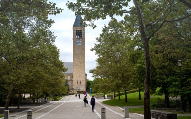 2 semestres no exterior: minha experiência como visiting scholar em Syracuse e Cornell