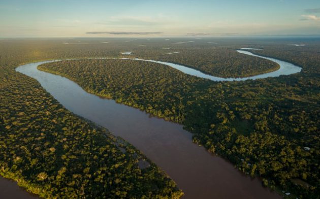 A integridade ecológica como princípio ou norma fundamental (Grundnorm) do Direito Ambiental no Antropoceno