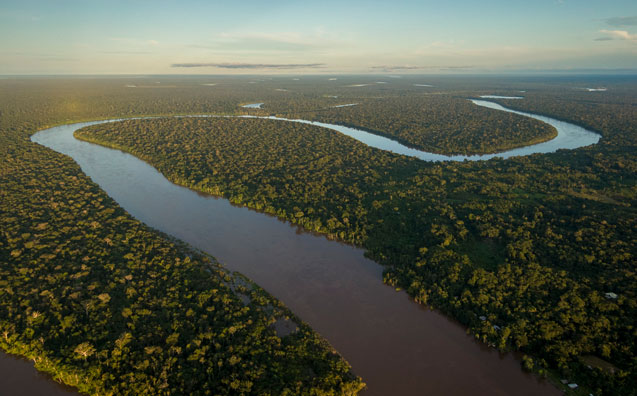 A integridade ecológica como princípio ou norma fundamental (Grundnorm) do Direito Ambiental no Antropoceno