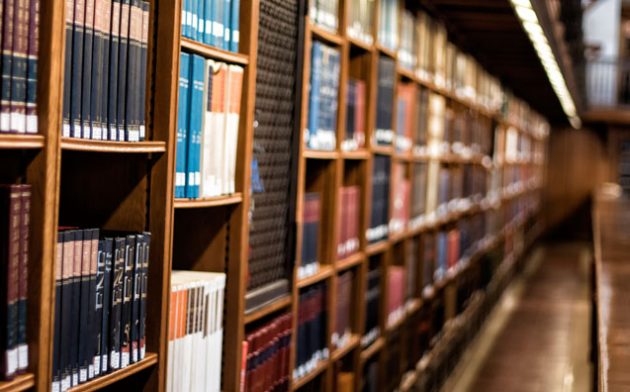 Estrutura e corpo docente: o que esperar de uma faculdade de Direito norte-americana?