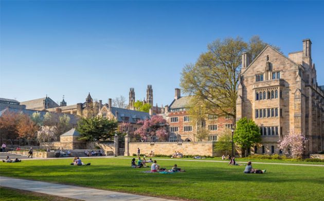 Faculdade de Direito de Yale: as melhores quatro semanas da minha vida