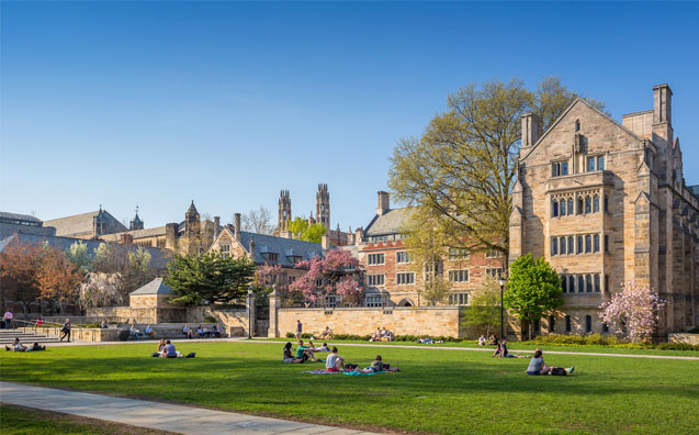 Faculdade de Direito de Yale: as melhores quatro semanas da minha vida