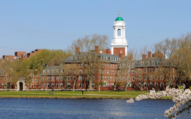 Como é estudar na Harvard Summer School?