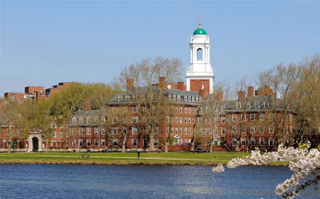 Como é estudar na Harvard Summer School?