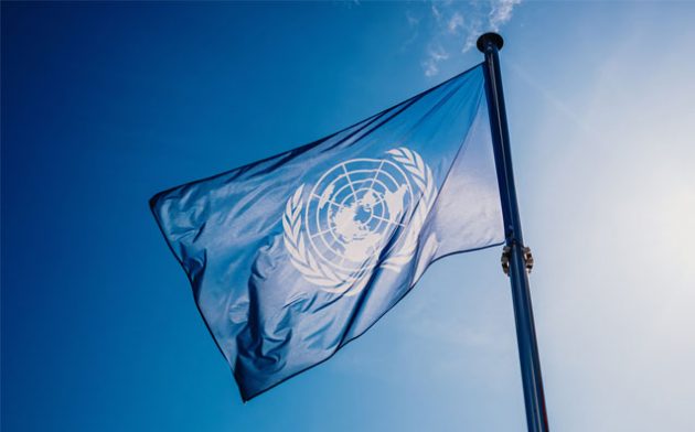 O fenômeno global da desjudicialização, o PL 6.204/19 e a Agenda 2030/ONU-ODS
