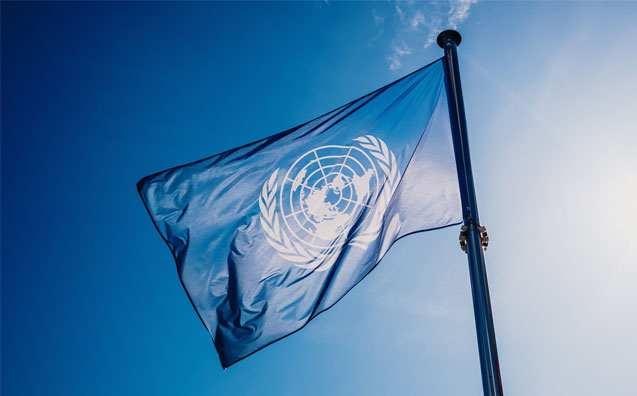 O fenômeno global da desjudicialização, o PL 6.204/19 e a Agenda 2030/ONU-ODS