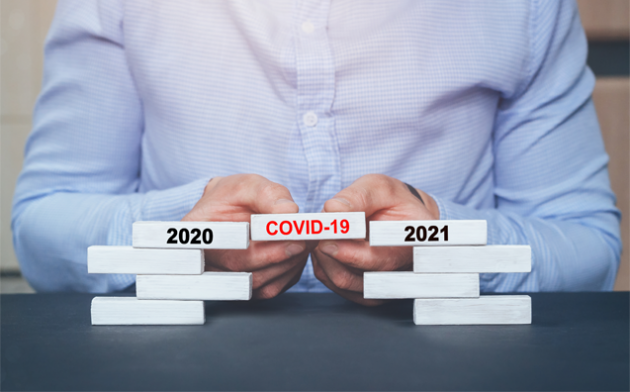 Famílias e Sucessões em 2020: um ano de pandemia e de decisões em casos difíceis