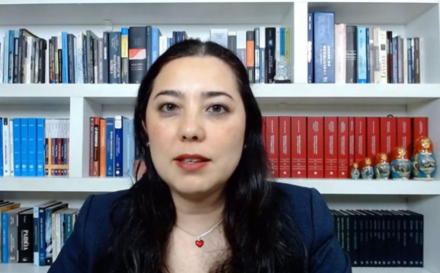 Critérios para identificação dos serviços públicos