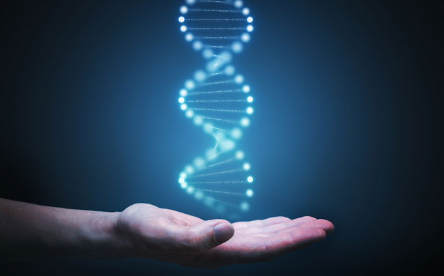 A lei 14.138/2021 e o exame de DNA dos parentes na ação de investigação de parentalidade