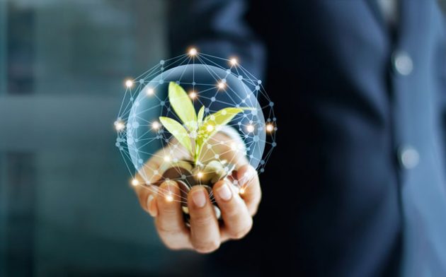 Proteção do ambiente e “ecologização” do Direito Privado