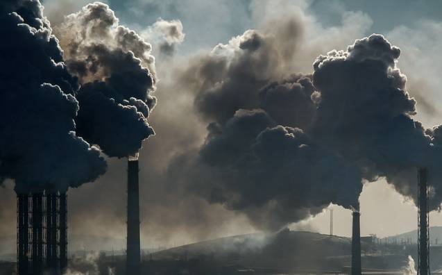 Uma forma original de combater a poluição ambiental
