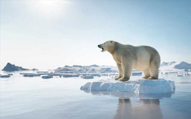 Crise climática e controle externo