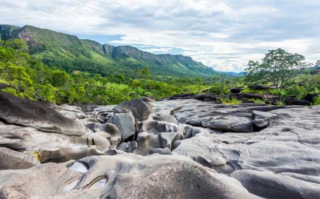 Redução do Parque Nacional da Chapada dos Veadeiros: inconstitucionalidade do PDL nº 338/2021