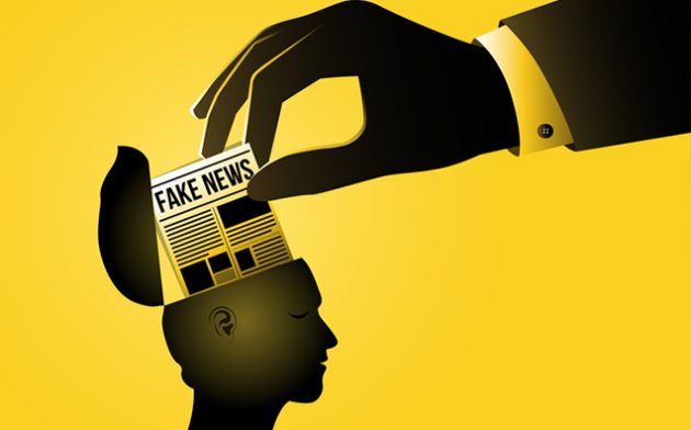 Direitos fundamentais, fake news e democracia: notas acerca da MP 1.068