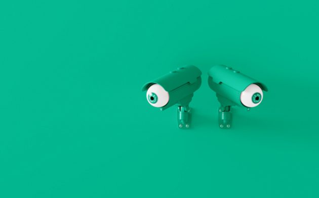 Proteção dos dados pessoais: para além da privacidade e autodeterminação informacional