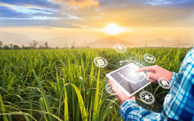 Compliance para o agronegócio: por que fazer?