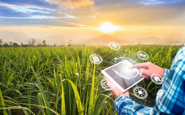 Compliance para o agronegócio: por que fazer?