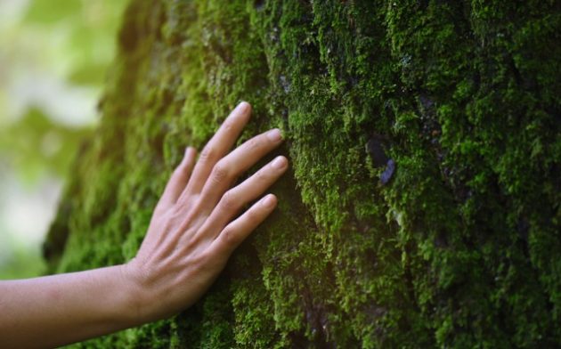 Reação legislativa contra desastres ecológicos 