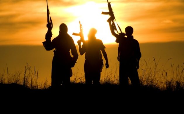 Terrorismo: o modelo incriminador brasileiro