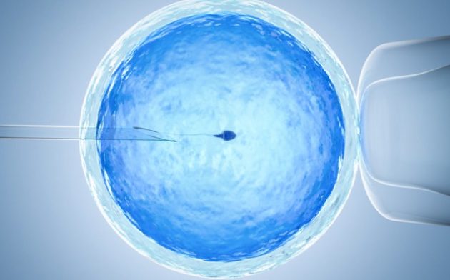 A inseminação artificial em face da moral e do direito