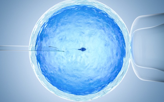 A inseminação artificial em face da moral e do direito