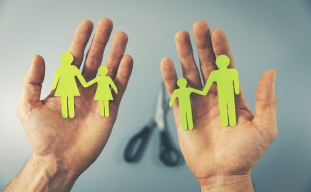 Julgamentos parciais de mérito em ações de família