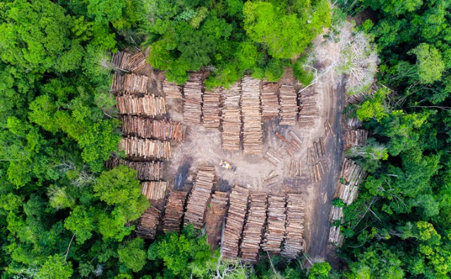 Ataques frequentes da França à política ambiental do  Brasil e o “puxão de orelha” no Presidente Macron
