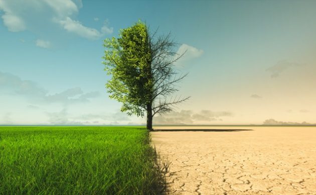 A Suprema Corte dos Estados Unidos e as mudanças climáticas