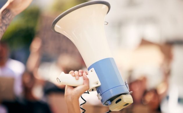 Direito de Greve – Regulamentação do Preceito Constitucional – Atividades Privadas – Serviços Públicos