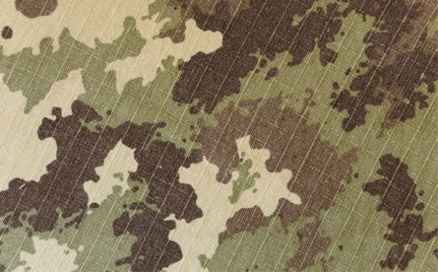 Anistia – Conceito – Pagamento de Vantagens a Militares