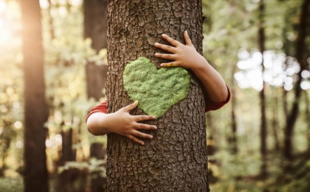 Responsabilidade ambiental civil e a Teoria do Bolso Profundo no Brasil