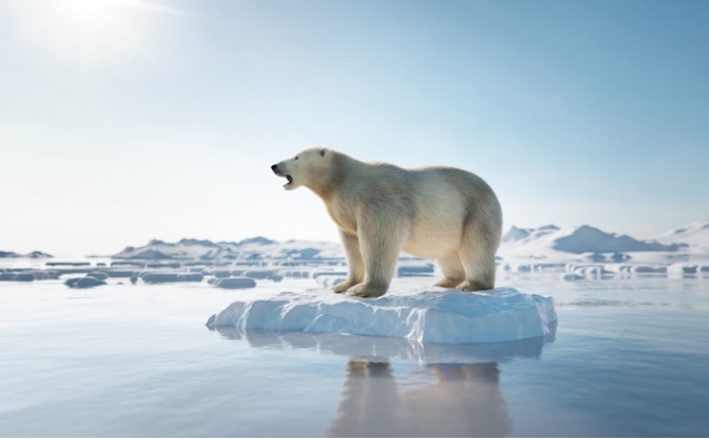 Mudanças climáticas: entenda a importância do tema no Direito