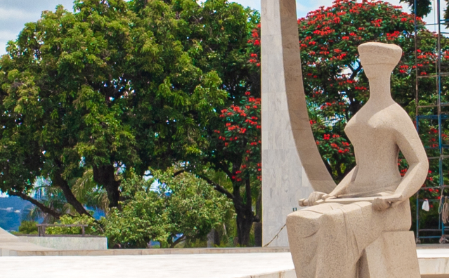 Liberdade de iniciativa e STF