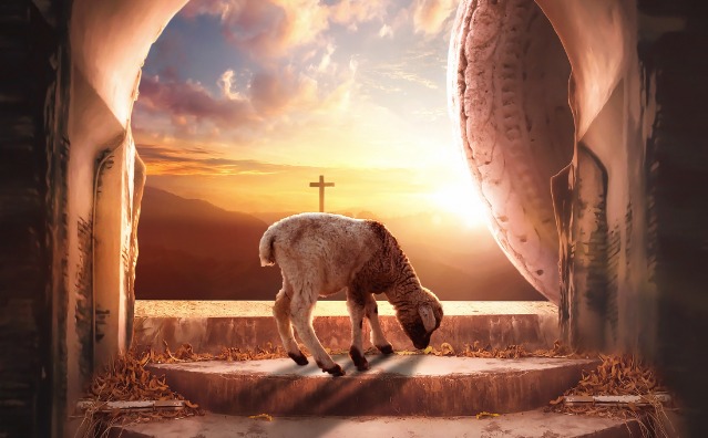 Liberdade religiosa x proteção dos animais não humanos: debate na Corte Europeia de Direitos Humanos