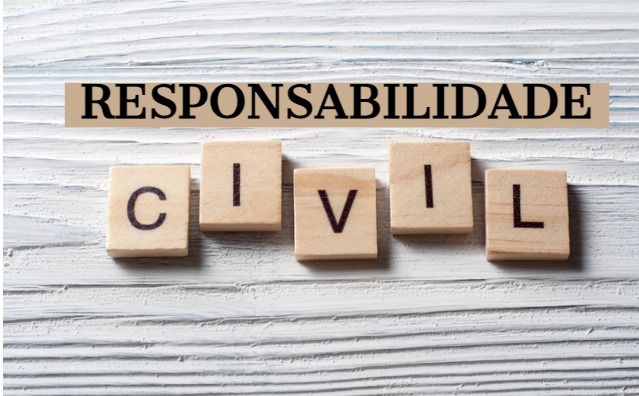 Responsabilidade civil objetiva, de Abner Vasconcelos