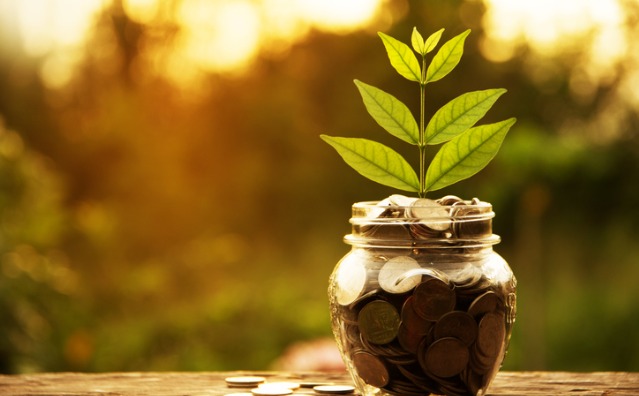 Proteção climática, limites da publicidade e concorrência desleal