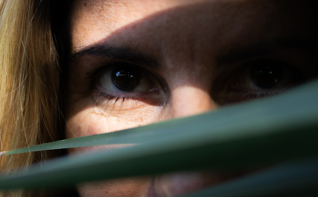 Crime de Stalking Processual (PL 646/2024)