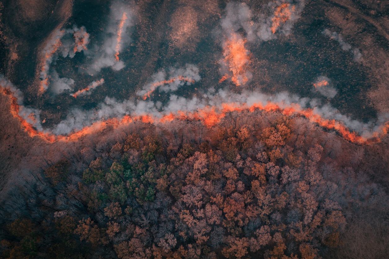 O Brasil em chamas e o STF como guardião climático