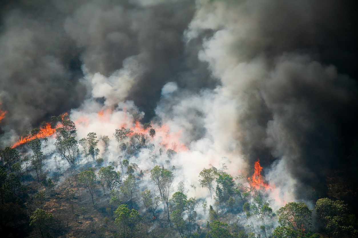 Os incêndios florestais na atualidade brasileira