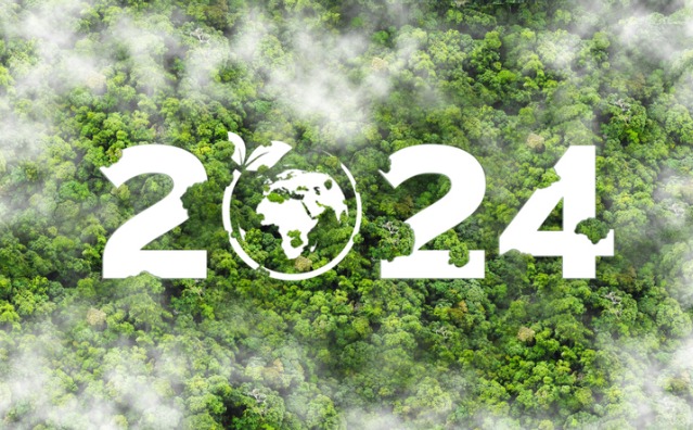 Direitos fundamentais, meio ambiente e clima em 2024: uma retrospectiva na perspectiva jurisprudencial