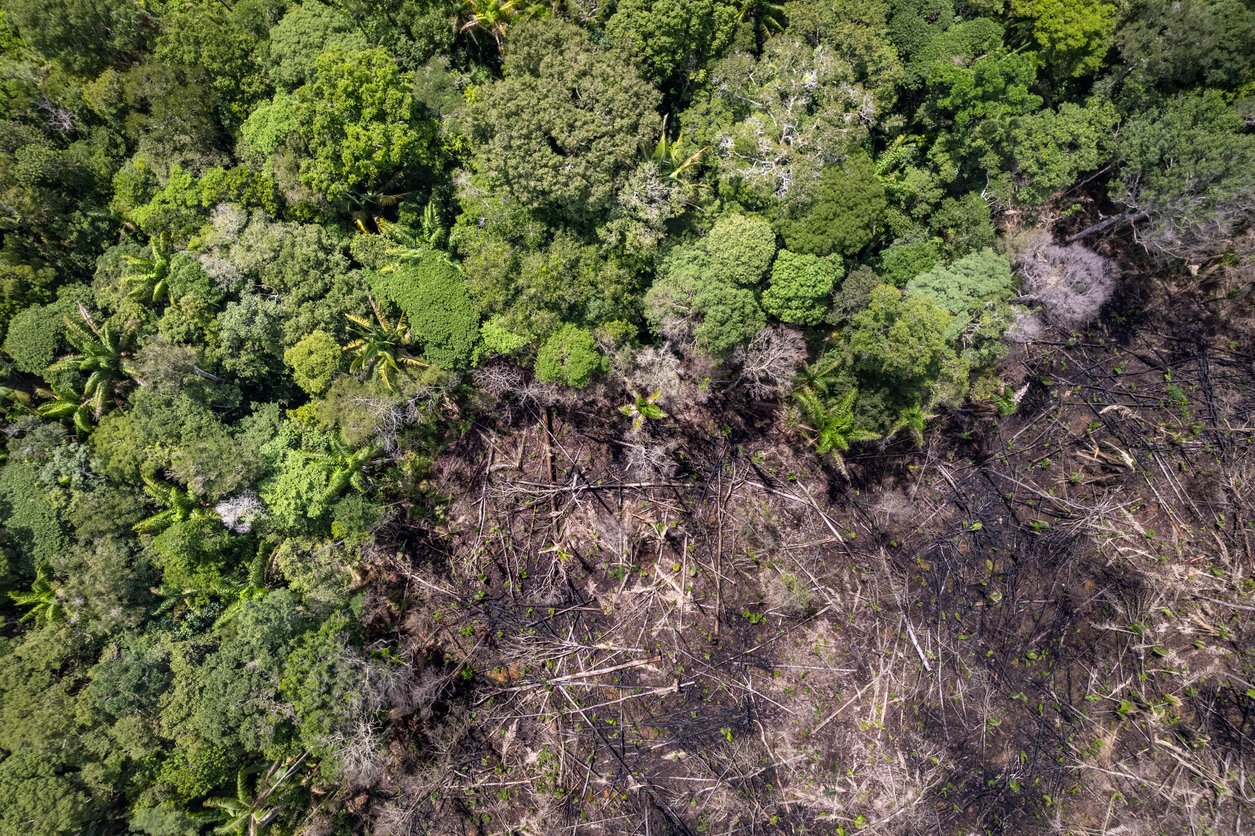 A ORDEM JURÍDICO-CONSTITUCIONAL E A PREVENÇÃO E COMBATE AOS DESASTRES NO BRASIL