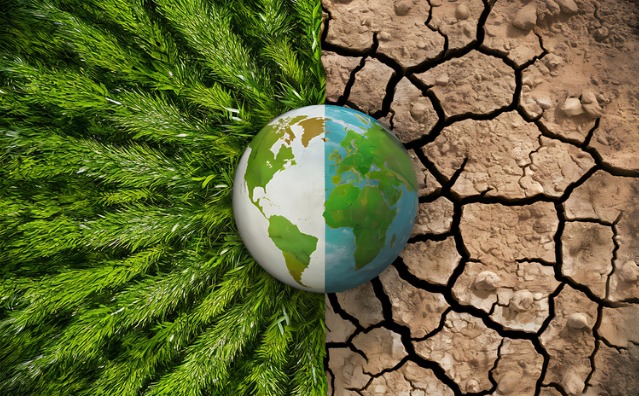 Constituição, mudanças climáticas e dever estatal de descarbonização da economia e da matriz energética
